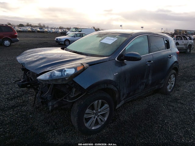 Продажа на аукционе авто 2019 Kia Sportage Lx, vin: KNDPMCAC1K7533241, номер лота: 44551655