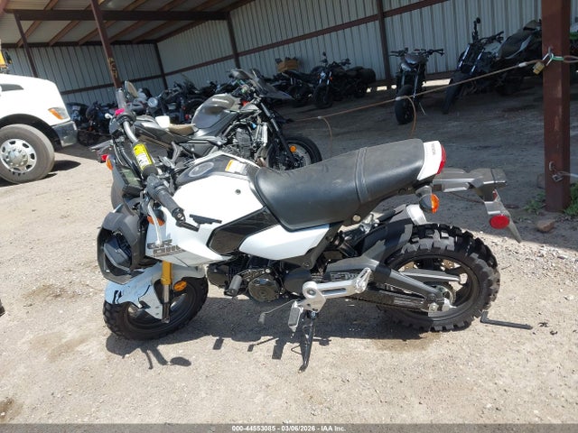 Honda Grom A 2025 MLHJC9251S5300903 Image 13