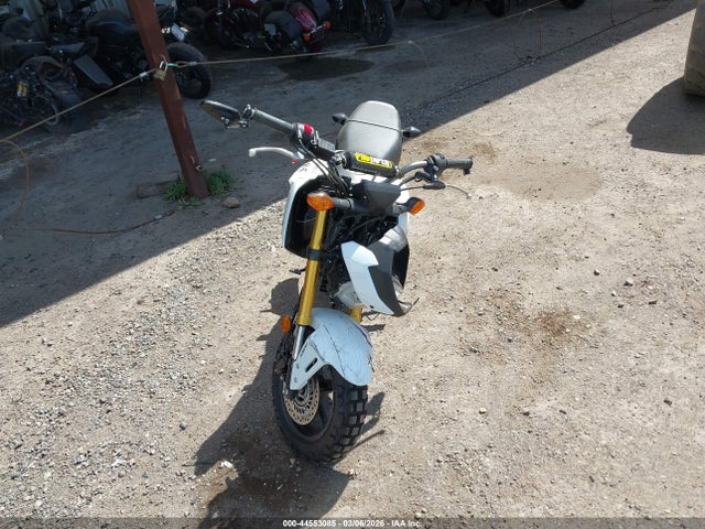 Honda Grom A 2025 MLHJC9251S5300903 Image 5