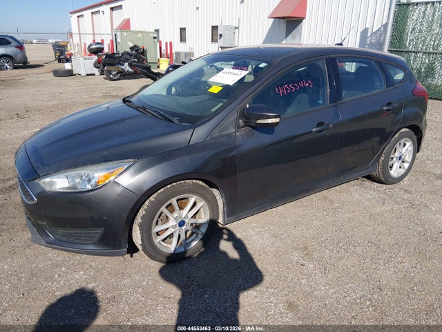 1FADP3K25GL379511 Ford FOCUS SE