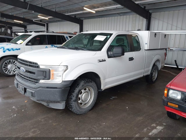 1FTEX1C44KKE83568 Ford F-150 Xl