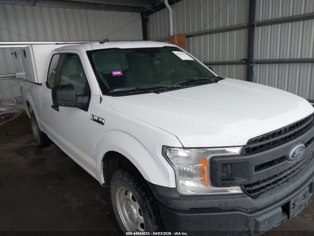 1FTEX1C44KKE83568 Ford F-150 Xl