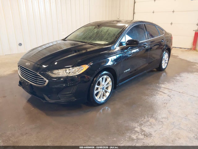 Ford Fusion Hybrid Se 2019 3FA6P0LU3KR276766 Image 2