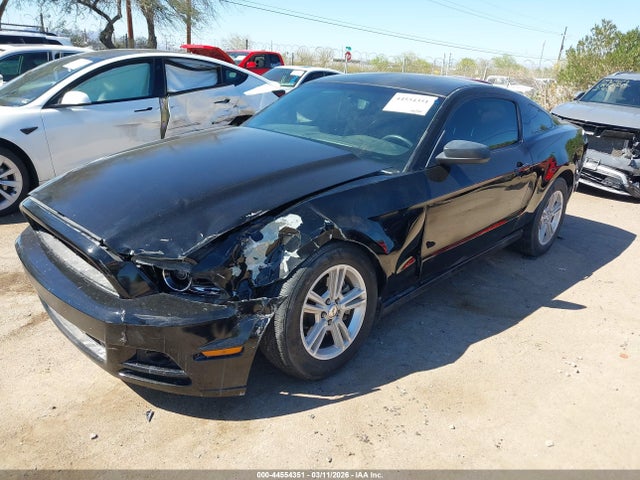 1ZVBP8AMXE5202839 Ford Mustang