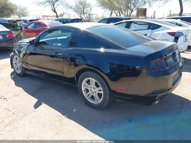 1ZVBP8AMXE5202839 Ford Mustang