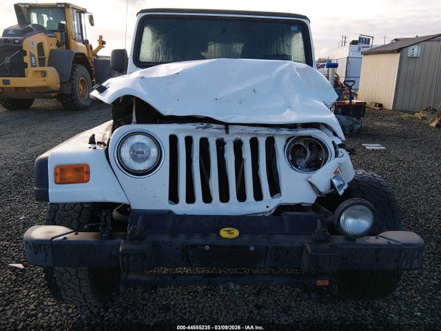 2003 JEEP WRANGLER 1J4FA49S03P314188 Photo 5