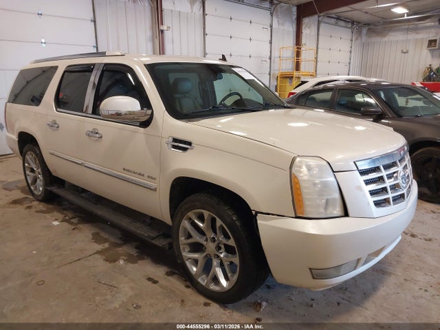 2009 CADILLAC ESCALADE ESV 1GYFK26259R294037
