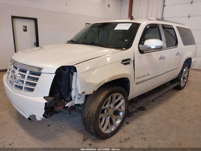 2009 CADILLAC ESCALADE ESV 1GYFK26259R294037 Photo 1