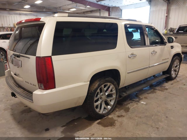 2009 CADILLAC ESCALADE ESV 1GYFK26259R294037 Photo 3