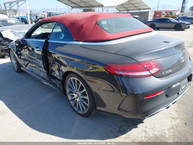 2019 MERCEDES-BENZ C 300 WDDWK8DB4KF772246 Photo 2