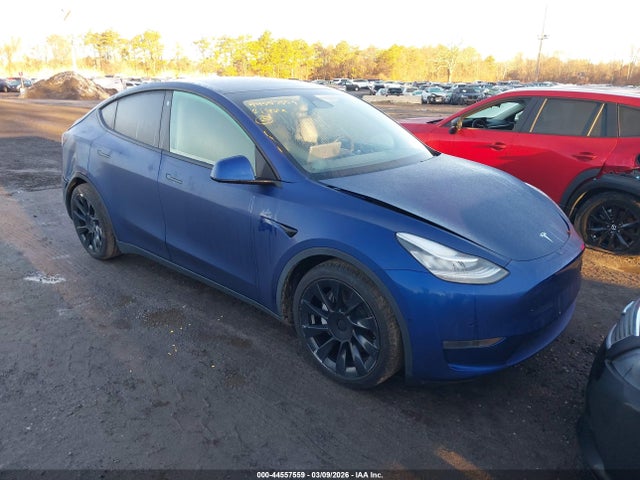 2021 TESLA MODEL Y 5YJYGDEE1MF092494