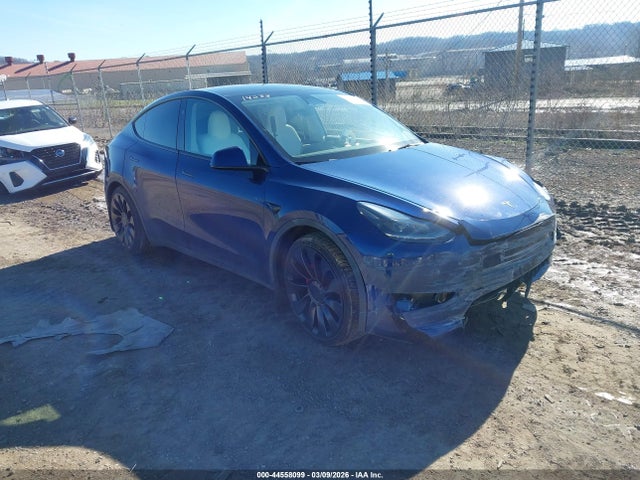 2023 TESLA MODEL Y 7SAYGDEFXPF870940 Photo 0