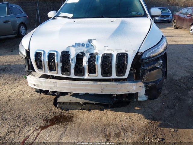 Jeep Cherokee Limited 2015 1C4PJMDS2FW674929 Image 6