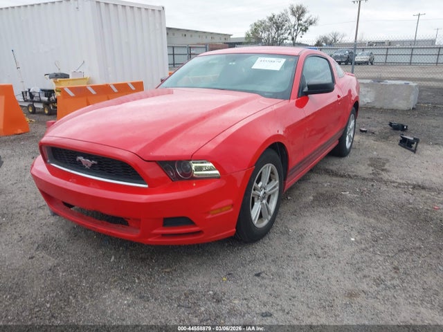 2013 Ford Mustang V6 მანქანა იყიდება აუქციონზე, vin: 1ZVBP8AM9D5259404, აუქციონის ნომერი: 44558879