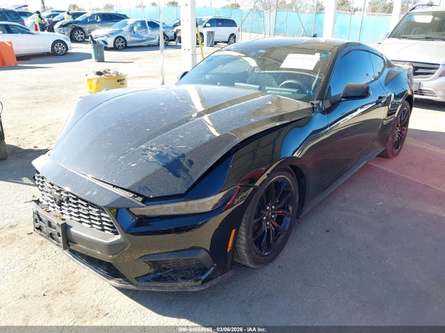 Ford Mustang Ecoboost Fastback 2025 1FA6P8TH2S5113305 Image 2