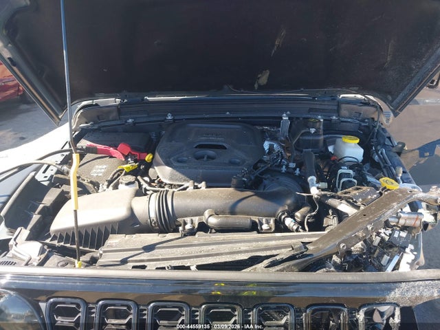 Продаж на аукціоні авто 2025 Jeep Wrangler 4-door Willys 4x4, vin: 1C4PJXDN3SW657756, номер лоту: 44559135