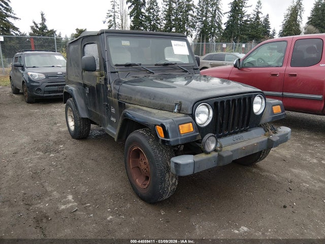 2003 JEEP WRANGLER 1J4FA59S43P350164