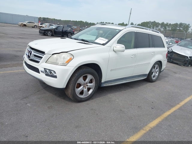 2010 MERCEDES-BENZ GL 450 4JGBF7BE5AA549368 Photo 1