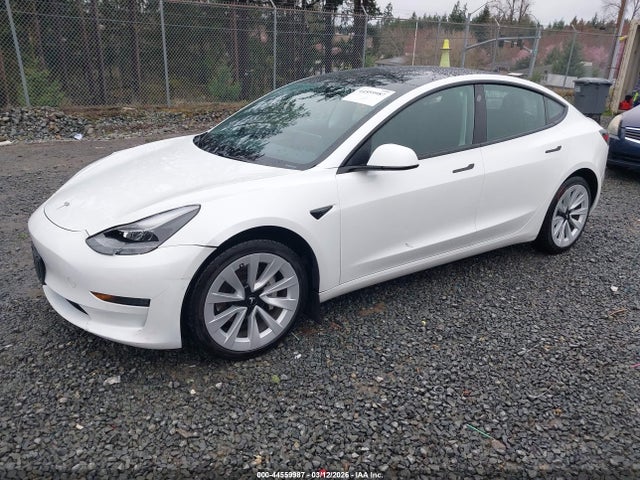Продаж на аукціоні авто 2021 Tesla Model 3 Long Range Dual Motor All-wheel Drive, vin: 5YJ3E1EBXMF073964, номер лоту: 44559987