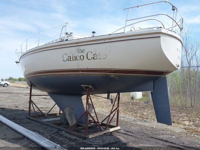 Продаж на аукціоні авто 1984 Catalina Other, vin: CTYN3798M84J, номер лоту: 44560058