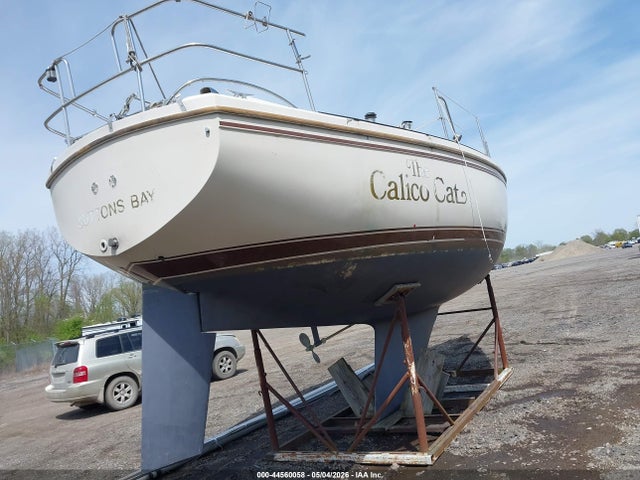 Продаж на аукціоні авто 1984 Catalina Other, vin: CTYN3798M84J, номер лоту: 44560058