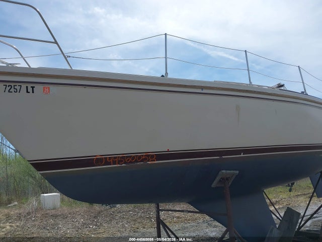 Продаж на аукціоні авто 1984 Catalina Other, vin: CTYN3798M84J, номер лоту: 44560058