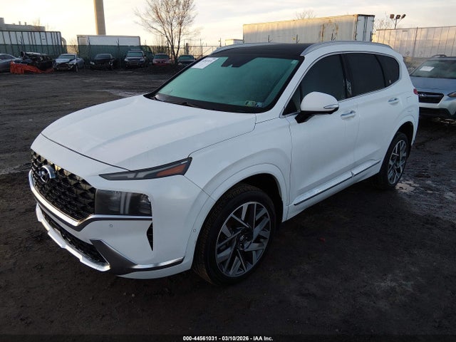 Hyundai Santa Fe Calligraphy 2023 5NMS5DAL9PH485193 Image 2