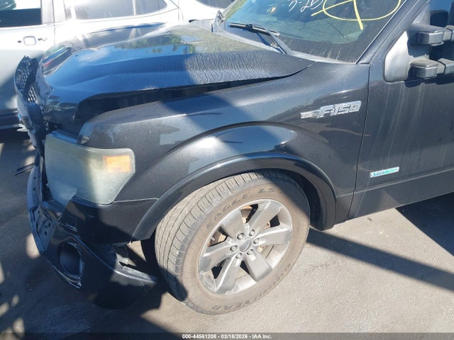 Ford F-150 FX2 2014 1FTFW1CT9EFA30493 Image 2
