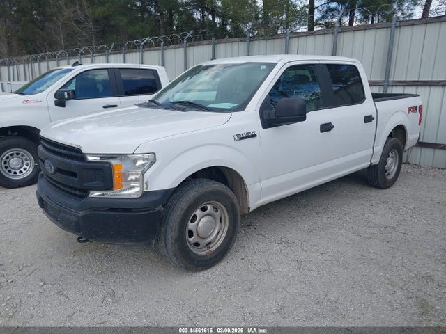 Ford F-150 Xl 2019 1FTEW1E54KKD38149 Image 2