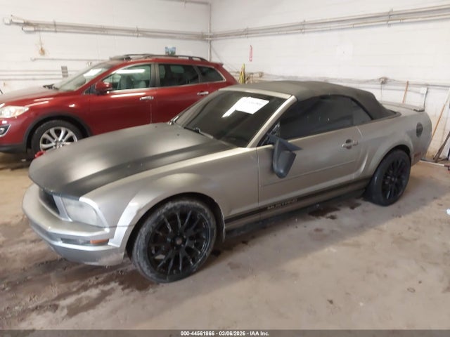 2008 FORD MUSTANG 1ZVHT84N585146033 Photo 1