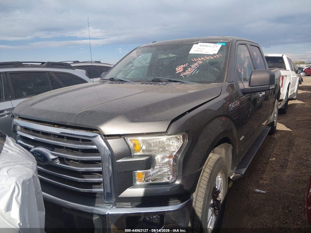 Auction sale of the 2015 Ford F-150 Xlt, vin: 1FTFW1EG9FKD59218, lot number: 44562127