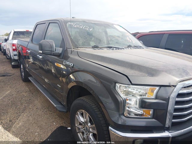Auction sale of the 2015 Ford F-150 Xlt, vin: 1FTFW1EG9FKD59218, lot number: 44562127