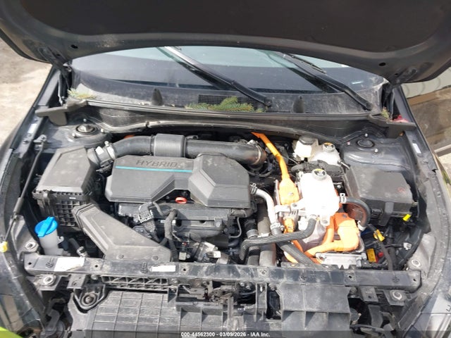 2025 KIA SPORTAGE HYBRID KNDPVCDG1S7182469 Photo 9