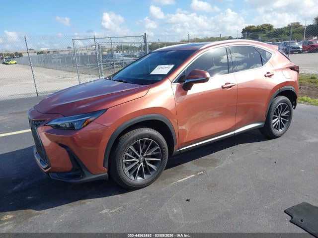 Продажа на аукционе авто 2025 Lexus Nx 250 Premium, vin: 2T2GDCAZ1SC027200, номер лота: 44562492
