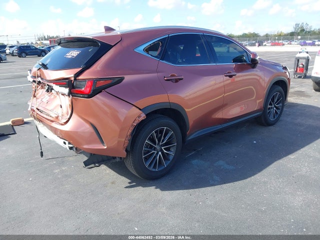 Продажа на аукционе авто 2025 Lexus Nx 250 Premium, vin: 2T2GDCAZ1SC027200, номер лота: 44562492
