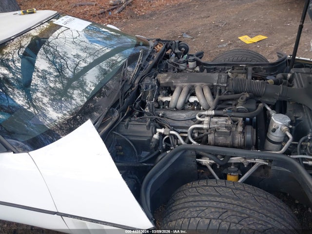 1989 CHEVROLET CORVETTE 1G1YY3185K5122997 Photo 5