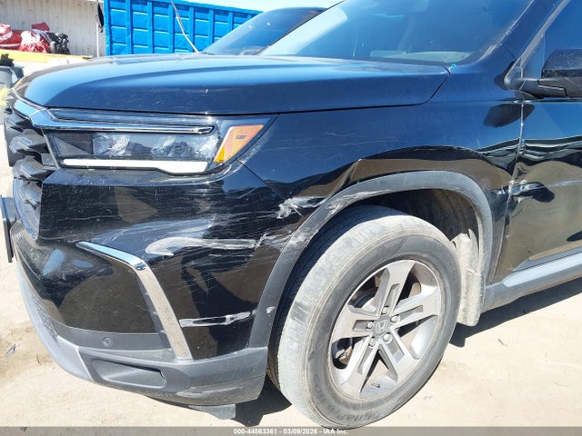 Продаж на аукціоні авто 2024 Honda Pilot Ex-l, vin: 5FNYG2H49RB009148, номер лоту: 44563361