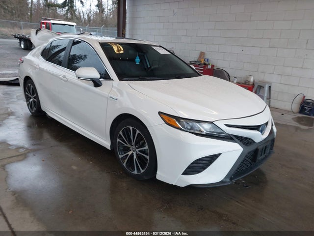 2020 TOYOTA CAMRY 4T1J31AK2LU532070