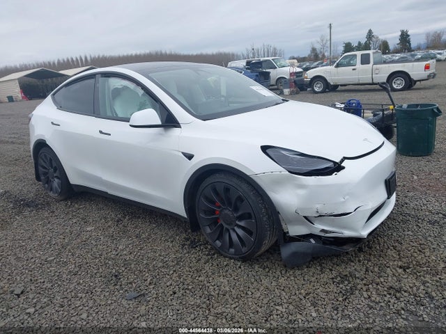 2025 TESLA MODEL Y 7SAYGDEF9SF263324 Photo 0