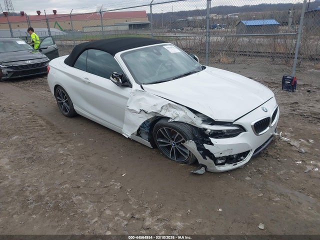 2019 BMW 230I WBA2K1C50KVD41789