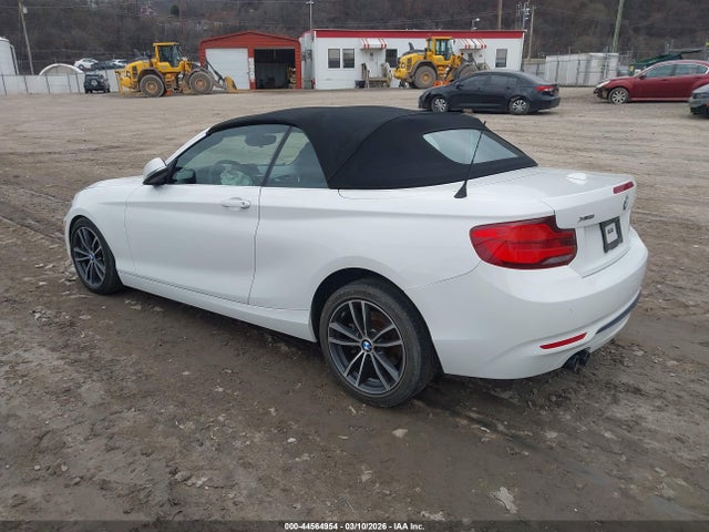 2019 BMW 230I WBA2K1C50KVD41789 Photo 2