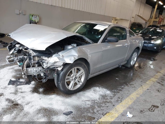 1ZVBP8AM5E5212954 Ford Mustang V6