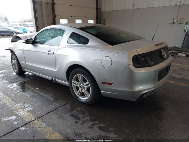 1ZVBP8AM5E5212954 Ford Mustang V6