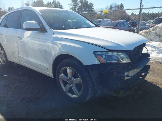 2009 AUDI Q5 WA1KK78R19A009354