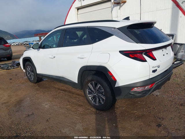 44566961 :رقم المزاد ، KM8JBCD13RU210855 vin ، 2024 Hyundai Tucson Hybrid Blue مزاد بيع
