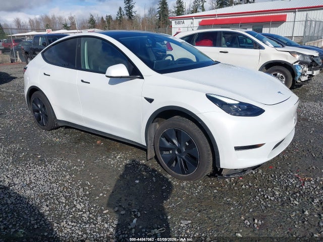 2024 TESLA MODEL Y 7SAYGDED1RF213154
