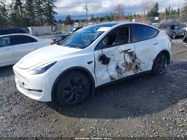 2024 TESLA MODEL Y 7SAYGDED1RF213154 Photo 1