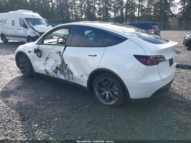 2024 TESLA MODEL Y 7SAYGDED1RF213154 Photo 2