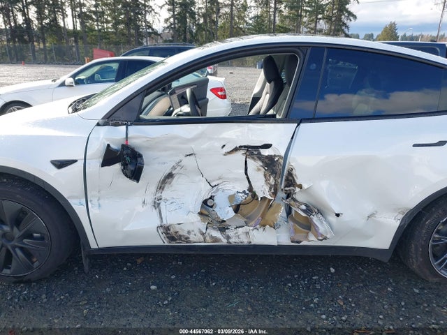 2024 TESLA MODEL Y 7SAYGDED1RF213154 Photo 5