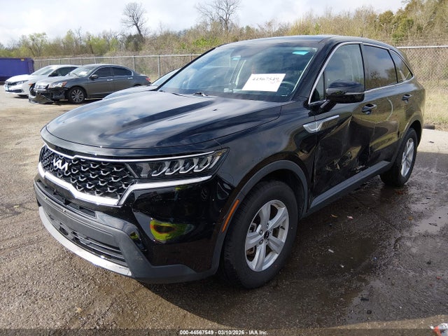 Aukcja sprzedaży 2023 Kia Sorento Lx, vin: 5XYRG4LC2PG186094, numer aukcji: 44567549